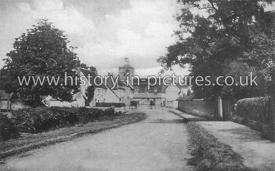 The Village from Chelmsford Road, Felsted, Essex. c.1910